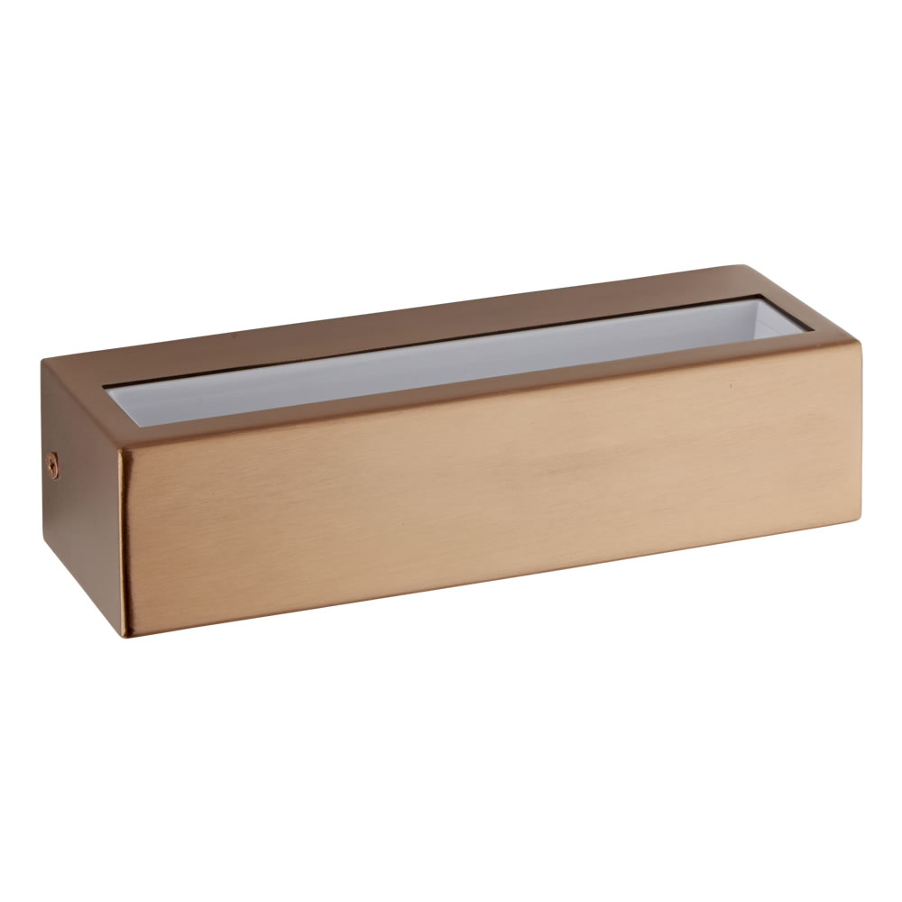 Biard Apliqué Exterior de Acero Inoxidable Efecto Cobre con LED Integrado - Ternay