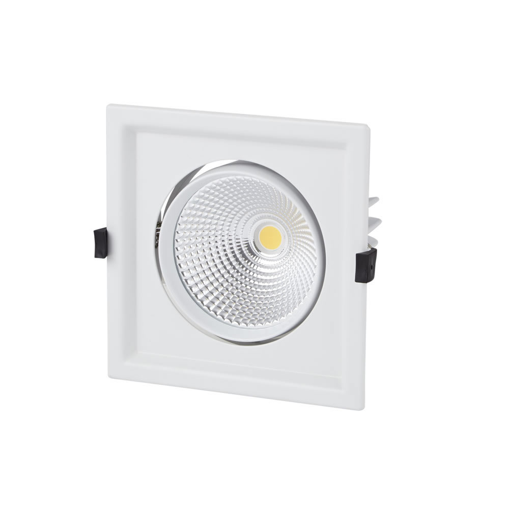 Biard Foco Empotrable LED Orientable de 30W