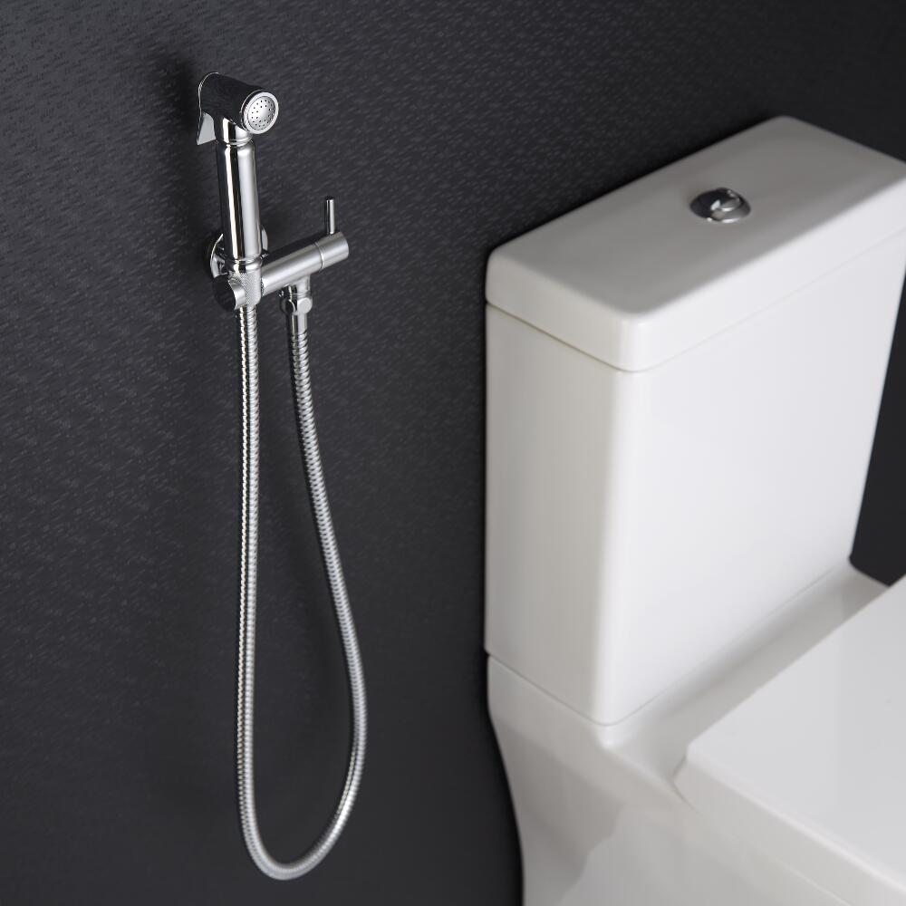 Kit de Ducha Higiénica completa con Ducha de Mano, Flexo y Soporte Mural