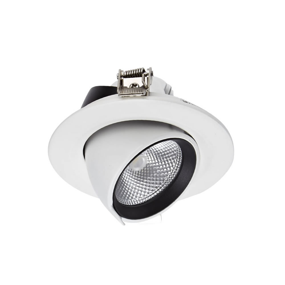 Biard Foco LED Empotrable Orientable de 10W