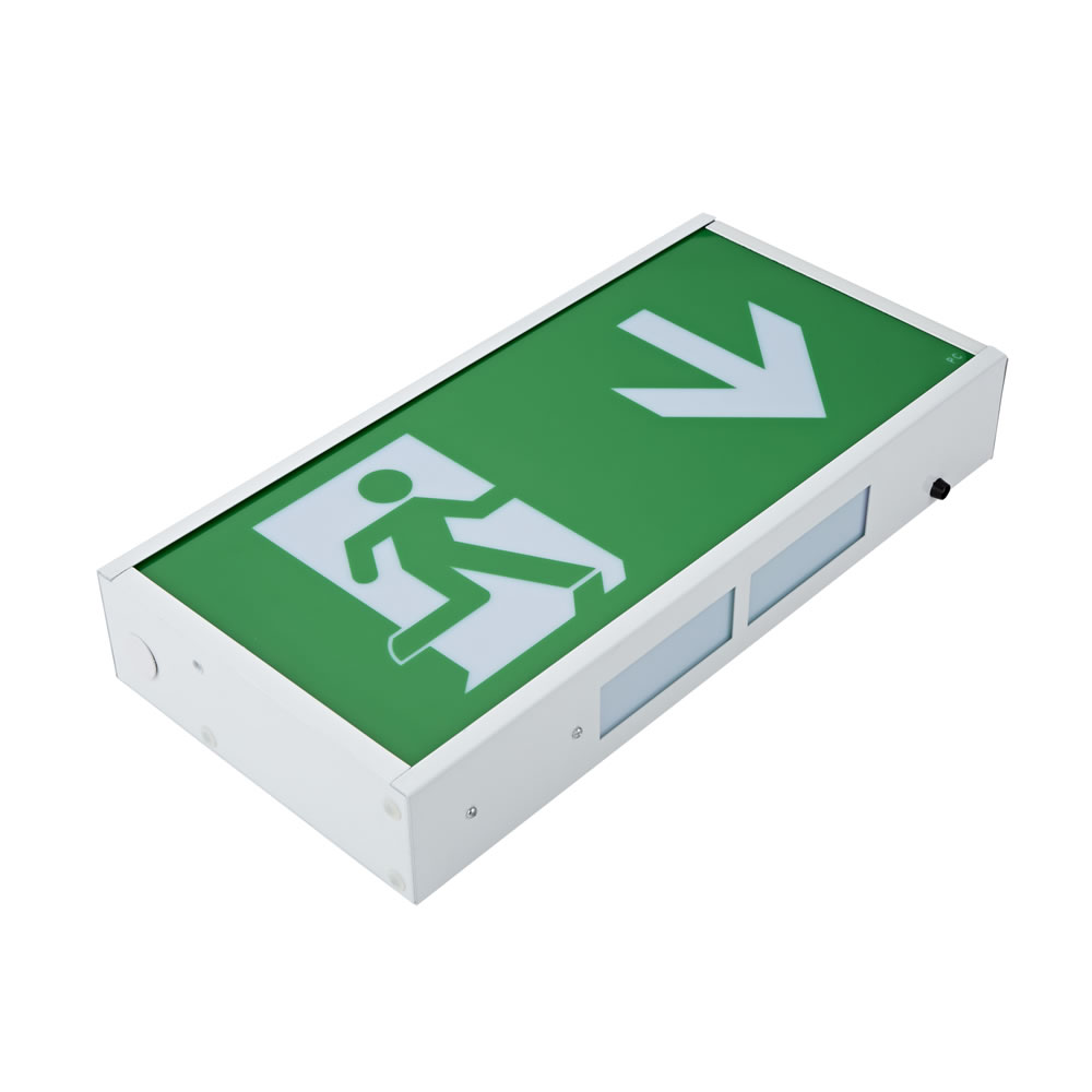 Biard Luz con Señal de Salida de Emergencia de Seguridad con Flecha