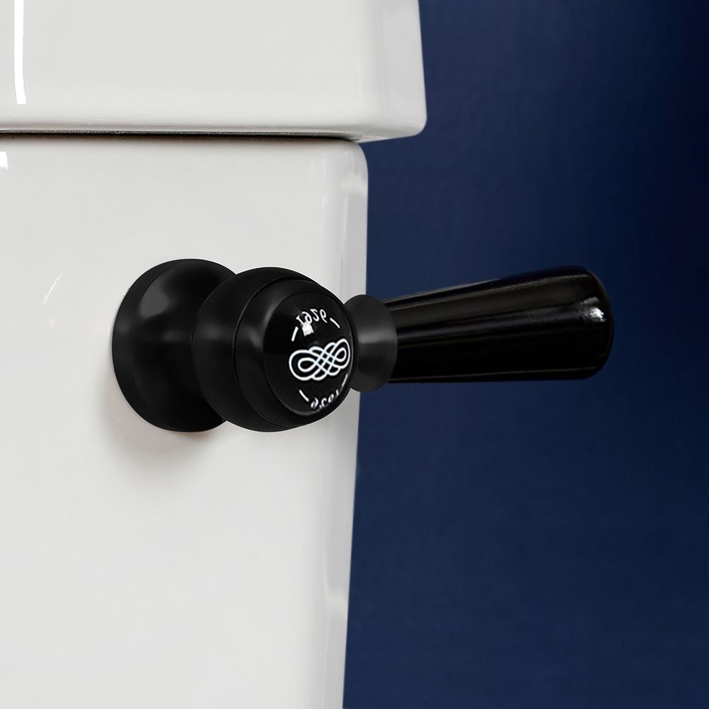 Esplendor Fracción Sangriento Palanca de Descarga de WC Tradicional - Color Negro - Elizabeth