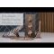 Alcachofa de Ducha Cuadrada Moderna de 400mm de Acero Inoxidable - Color Cobre Cepillado - Amara