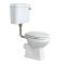 Kit con Tubo de Descarga para WC con Cisterna Baja - Oro Cepillado -  Elizabeth