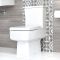Conjunto para Baño Moderno Completo con Inodoro Adosado y Lavabo con Pedestal -  Exton