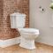 Conjunto de Baño Clásico con Inodoro WC, Cisterna, Lavabo Monoforo y Pedestal de Cerámica Blanca con Tapa de WC - Regent