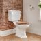 Inodoro WC Tradicional Completo con Cisterna de Salida Horizontal y Tapa de Color Roble con Tonalidad Cálida – Ryther
