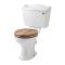 Conjunto para Baño Tradicional con Inodoro Monobloque y Lavabo con Columna - Ryther