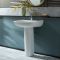 Lavabo Moderno con Pedestal de 600mm - (1 Agujero para la Grifería) - Milton