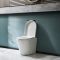 Inodoro WC Oval 460x360x565mm con Tapa de WC Soft Close -  Alswear