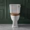 Inodoro Monobloque Tradicional con Taza Elevada Completo con Cisterna y Tapa para WC - Disponible en Distintos Acabos y con Selección de Tapas para WC - Richmond