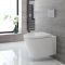 Inodoro WC Oval Suspendido 340x350x560mm y Tapa con Cierre Amortiguado  – Exton