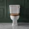 Conjunto con WC Tradicional Completo con Inodoro, Cisterna con Salida Horizontal y con Opción de Distintas Tapas de WC – Richmond