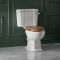 Conjunto con WC Tradicional Completo con Inodoro, Cisterna con Salida Horizontal y con Opción de Distintas Tapas de WC – Richmond