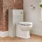 Mueble de WC  de Suelo Tradicional Gris Ahumado  de 500mm - Thornton