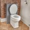 Mueble de WC Tradicional Color Gris Claro de 500mm Completo Inodoro Adosado y Cisterna - Warwick