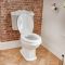 Conjunto de Baño Clásico con Inodoro WC, Cisterna, Lavabo Monoforo y Pedestal de Cerámica Blanca con Tapa de WC - Regent