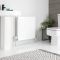 Radiador Convector con Panel Doble Plus - 600mm x 700mm (Tipo 21) - Eco