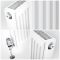 Radiador Convector con Panel Doble Plus - 600mm x 1100mm (Tipo 21) - Eco