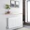 Radiador Convector con Panel Doble Plus - 600mm x 1100mm (Tipo 21) - Eco