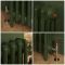 Radiador de Hierro Fundido de 4 Columnas - Altura de 960mm - Verde Duck Green de Farrow & Ball  - Mercury