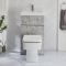 Conjunto de Baño de Color Gris Hormigón Completo con Mueble de Lavabo y WC Integrado con Inodoro Exton - 500mm x 830mm - Botón de Descarga Cromado - Cluo