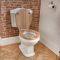 Conjunto de Baño Tradicional Completo con Inodoro Monobloque y Lavabo con Pedestal - Regent