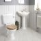 Conjunto para Baño Tradicional con Inodoro Monobloque y Lavabo con Columna - Ryther