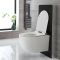 Conjunto de WC Completo con Kit para Inodoro Negro de 500mm e Inodoro sin Brida Otterton - Saru