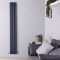 Hudson Reed Revive - Radiador de Diseño en Aluminio Vertical (Panel Doble) 1800mm x 350mm - Antracita
