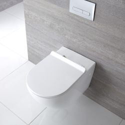 Tapa y Asiento con Cierre Amortiguado para Inodoro con Desenganche Rápido con Montaje Superior - Otterton