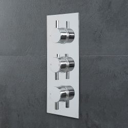 Termostato Mezclador de Ducha de 2 Funciones con Manijas de Control Redondas - Moderno