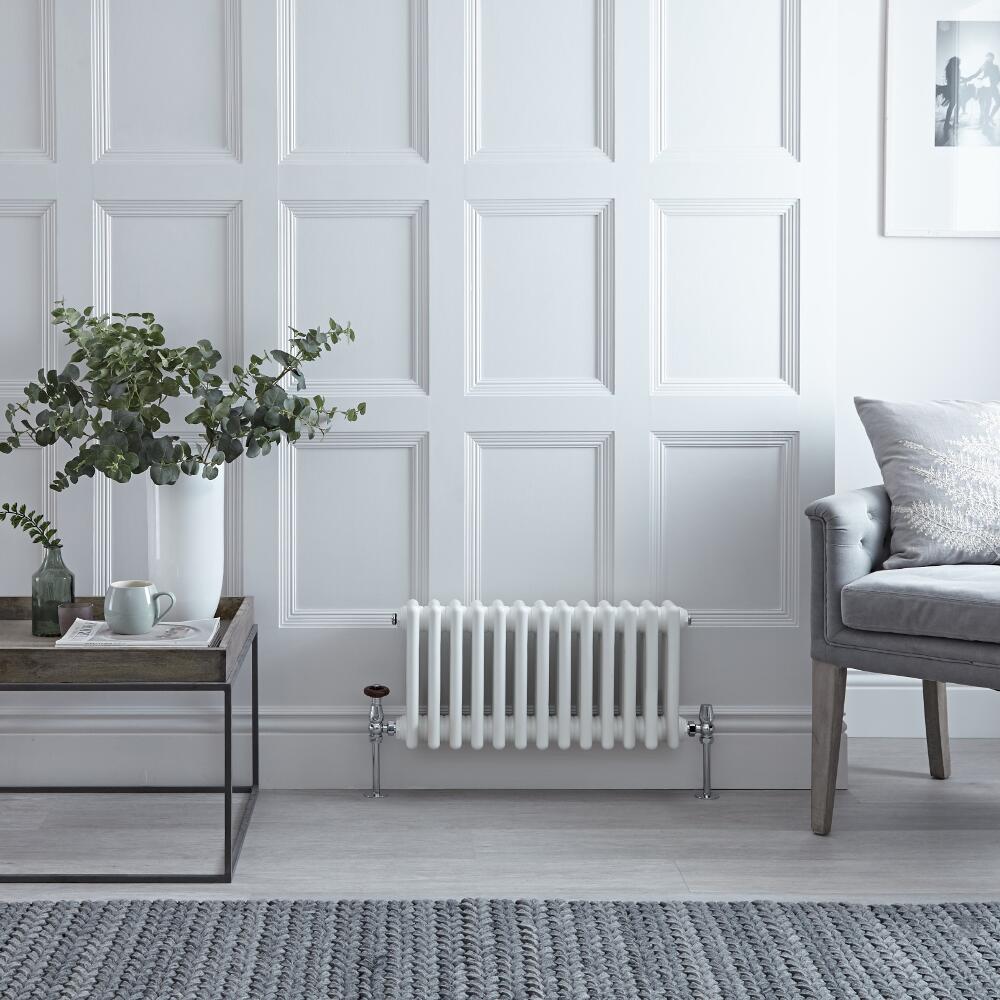 Radiador de Diseño Horizontal Doble Tradicional - Blanco - 300mm x 605mm x 68mm - 414 Vatios - Regent